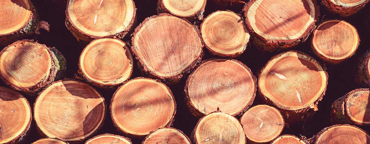 madera.jpg